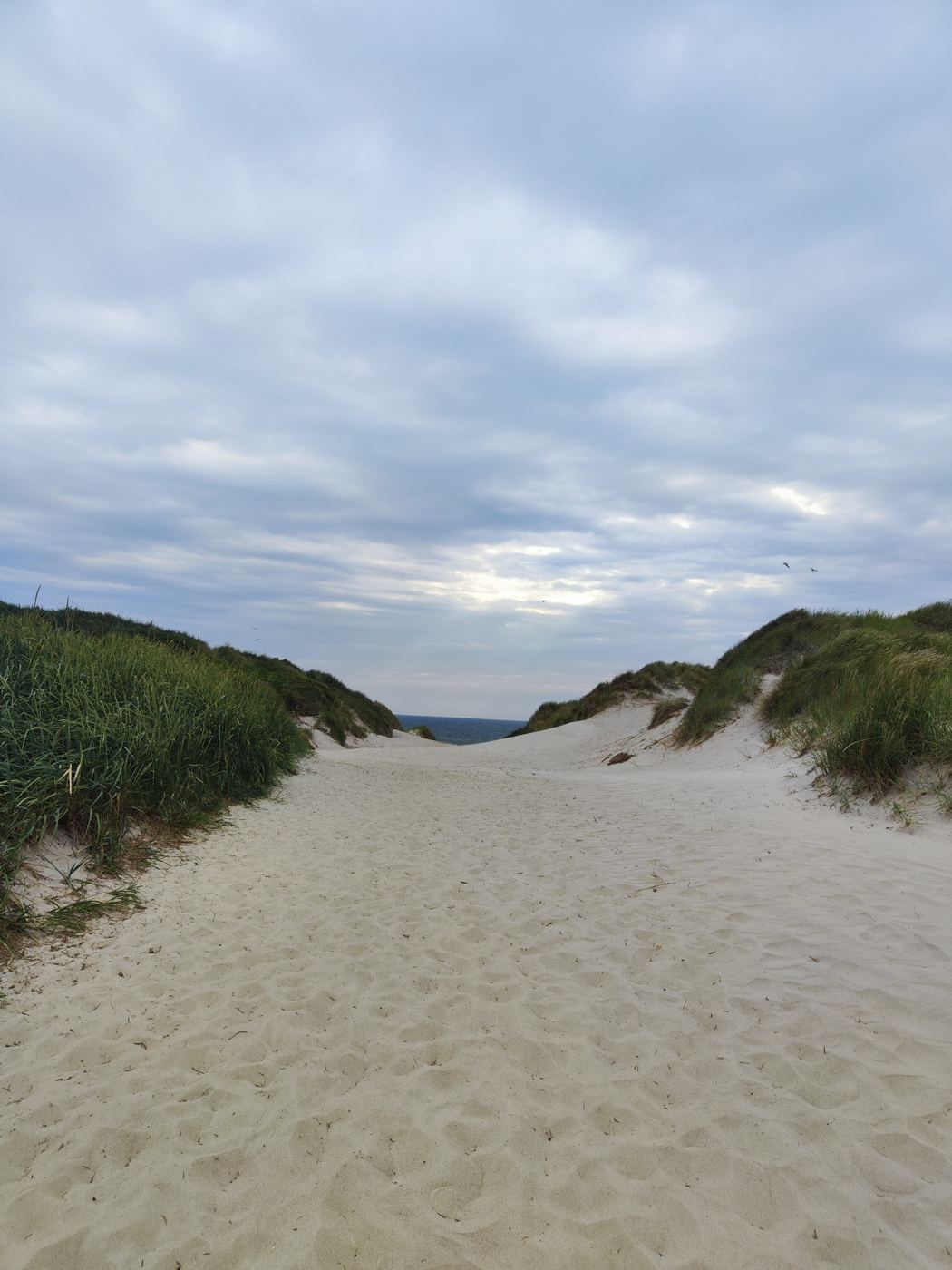 Sandweg zwischen begrünten Dünen mit Blick auf das Meer