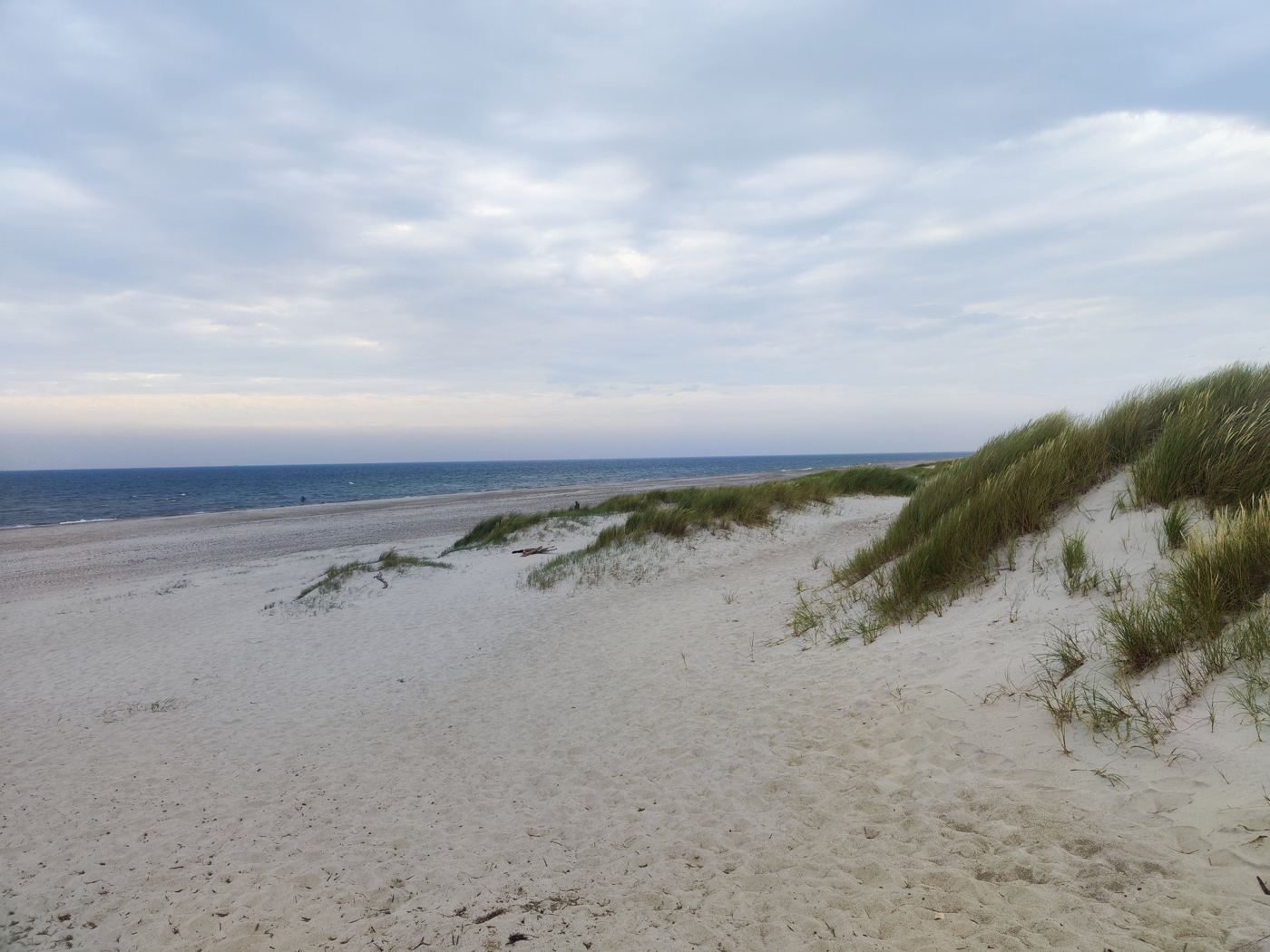 Weiter Sandstrand mit Dünengras und Blick auf das Meer